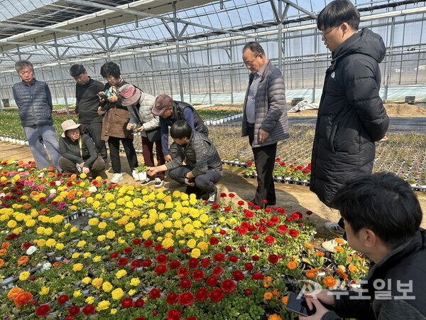 봄꽃 재배 현장 집합교육 / 세종시